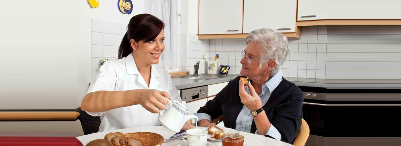 Elderly Nutrition